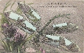 19300000sc PONT-FARCY Meilleur Souvenir